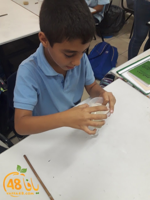 cimikal day (38).jpg